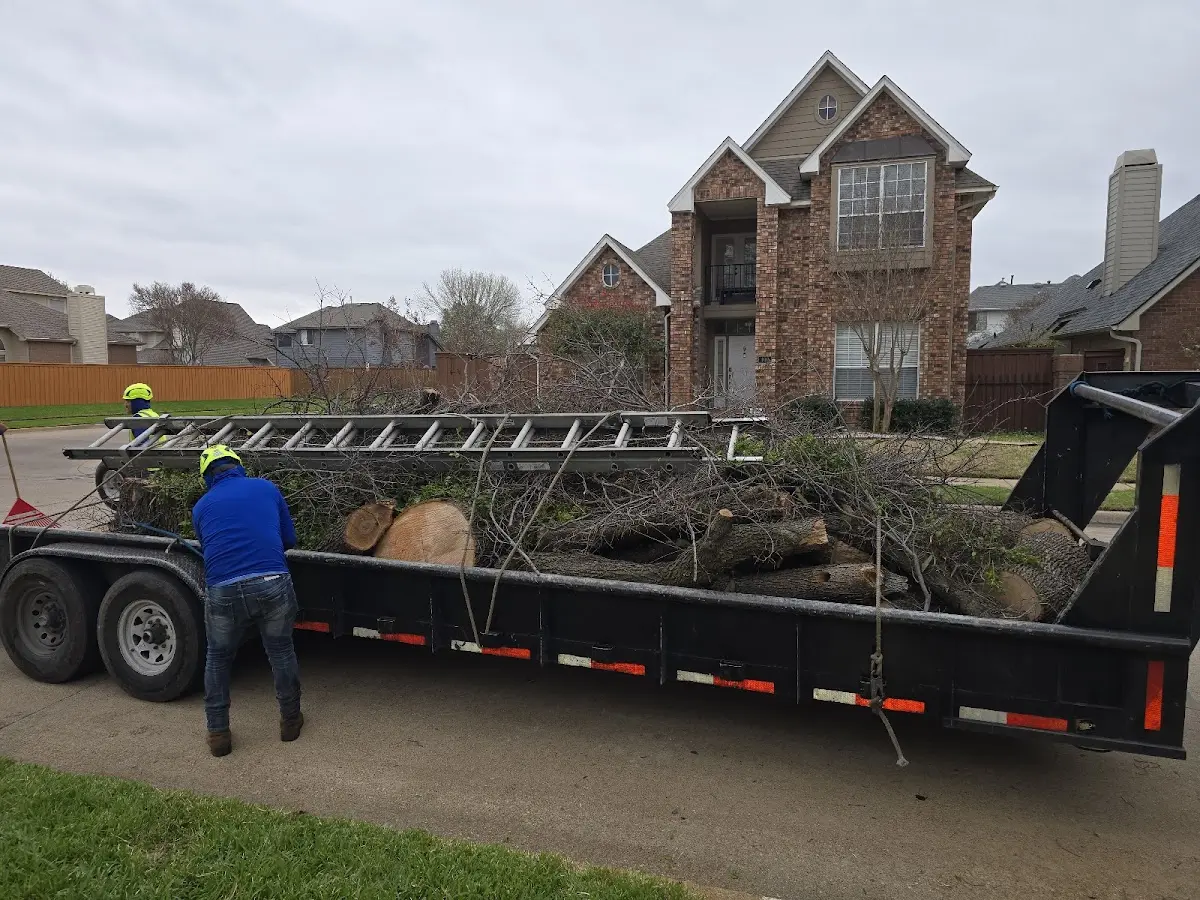 Expert Lot Clearing with proper safety equipment in Frederic